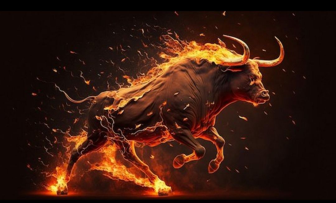 Bitcoin Bull