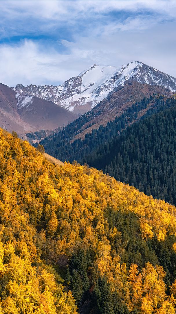 Autumn near Almaty