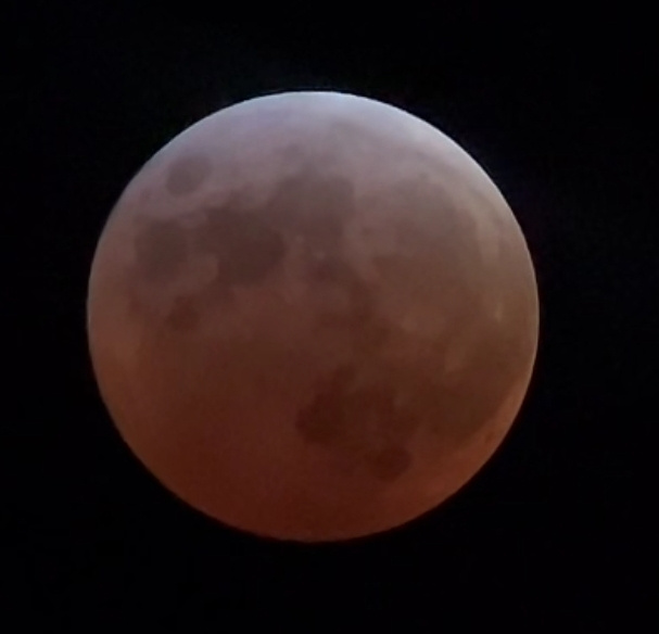 Best shot of blood moon i got tonight