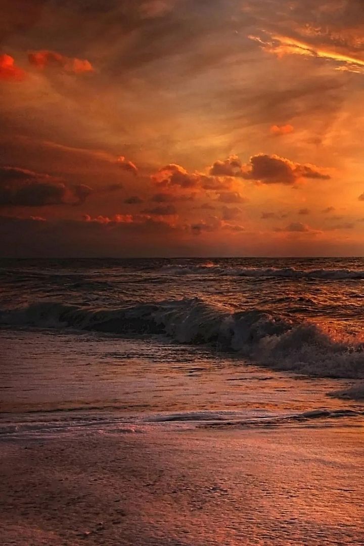 Beach in Denmark🇩🇰🌅 🌅🌅