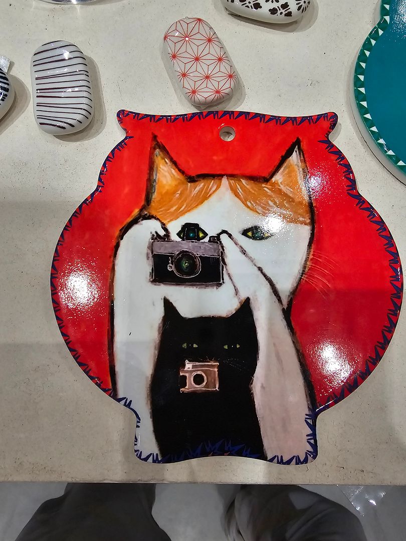 A cat photographer