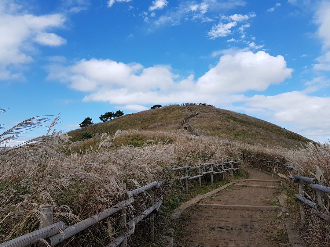 Mt. Mindung-Jeongseon(s.korea)