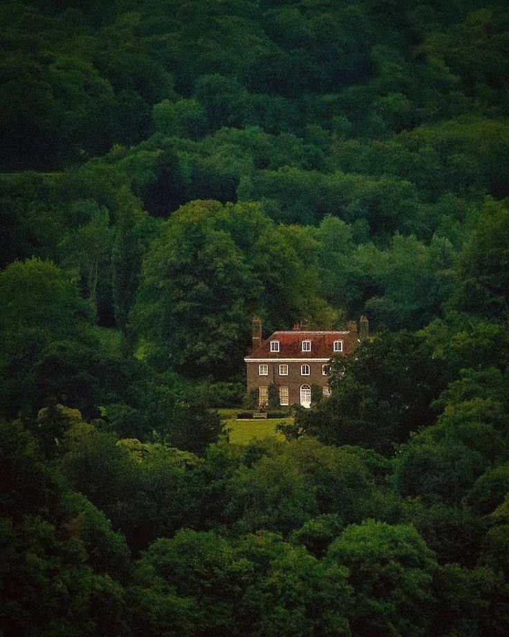 house in the forest