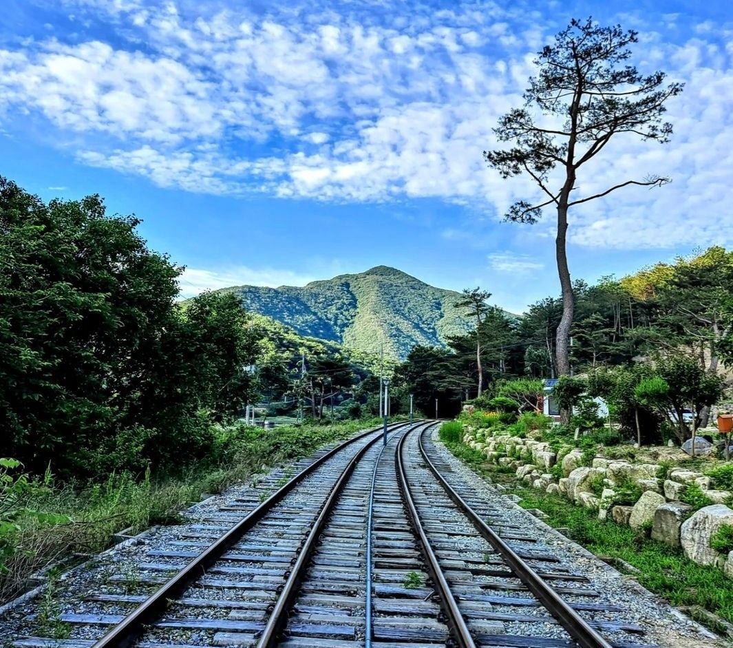 along a railroad track