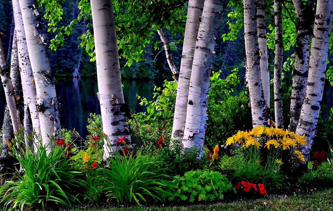 flowers and trees