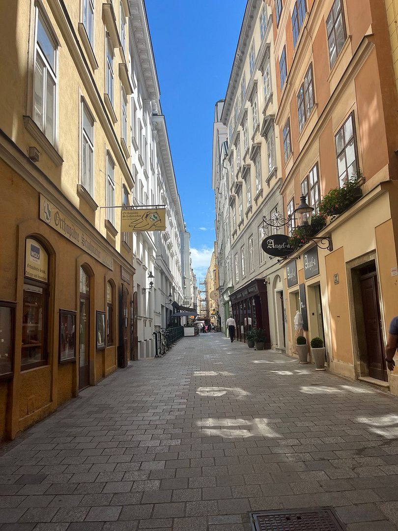 Street of Vienna