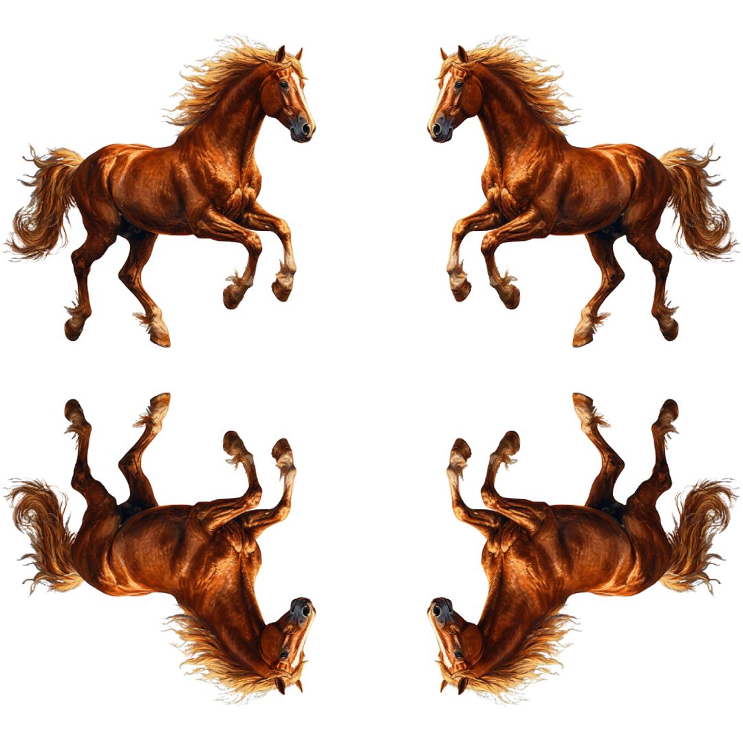 Four Majestic Horses Galloping