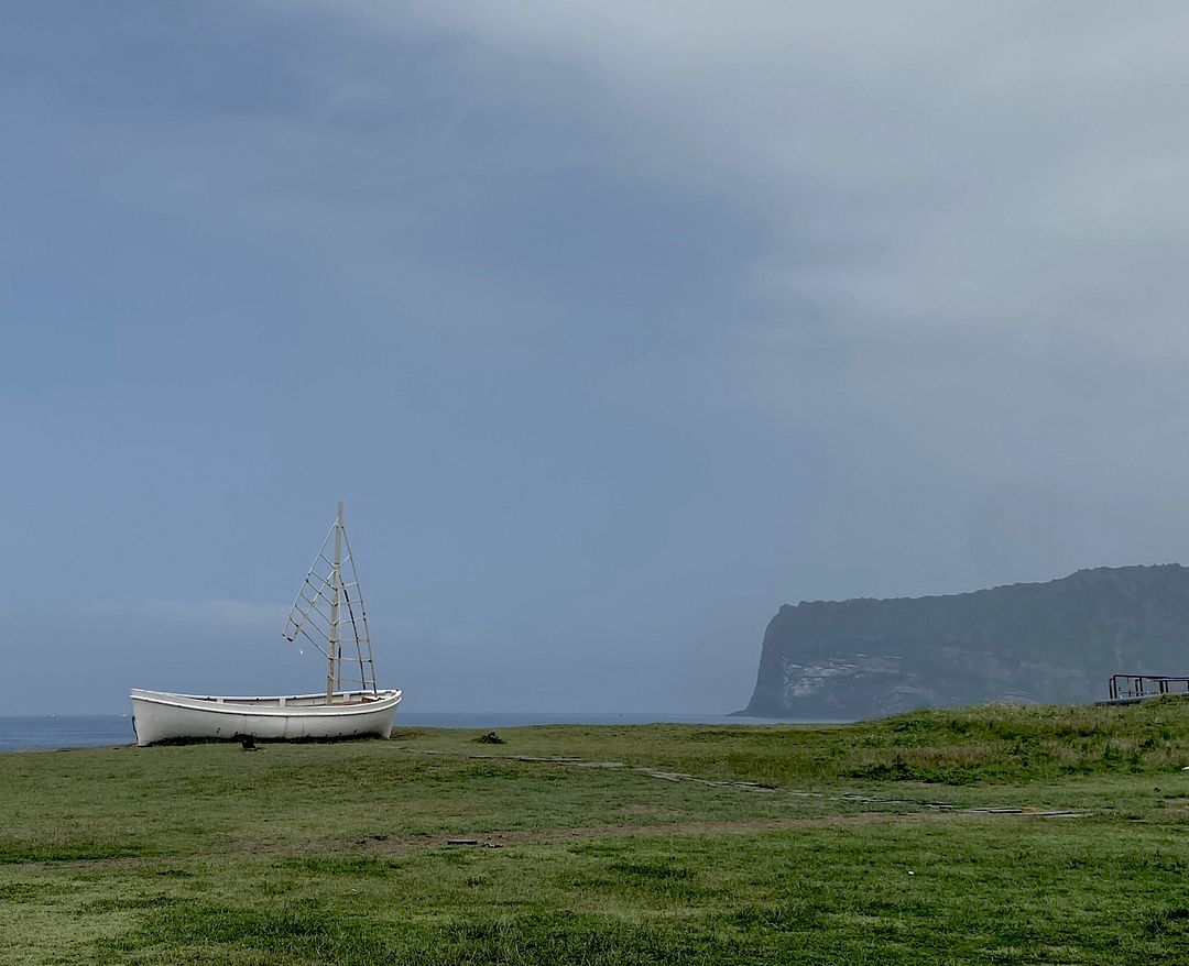 small boat & grass