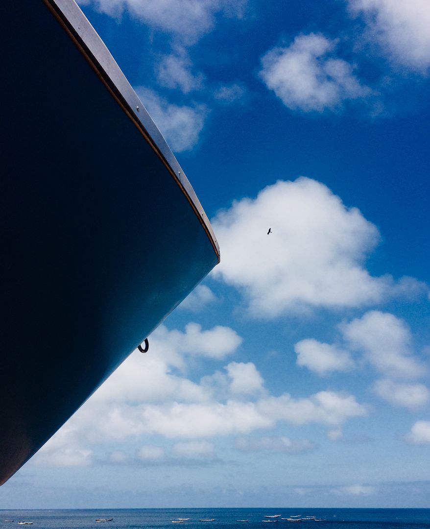 Boats.Bird.Blues.