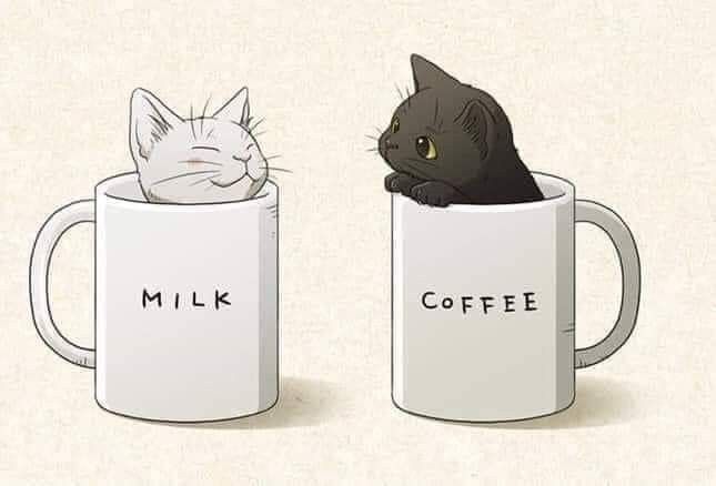 Milk Coffee