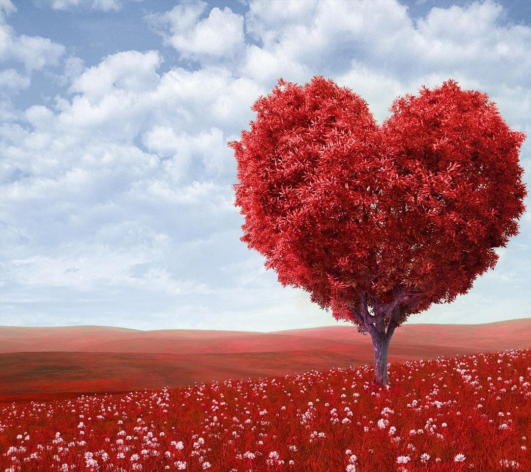 Heart Tree Hd