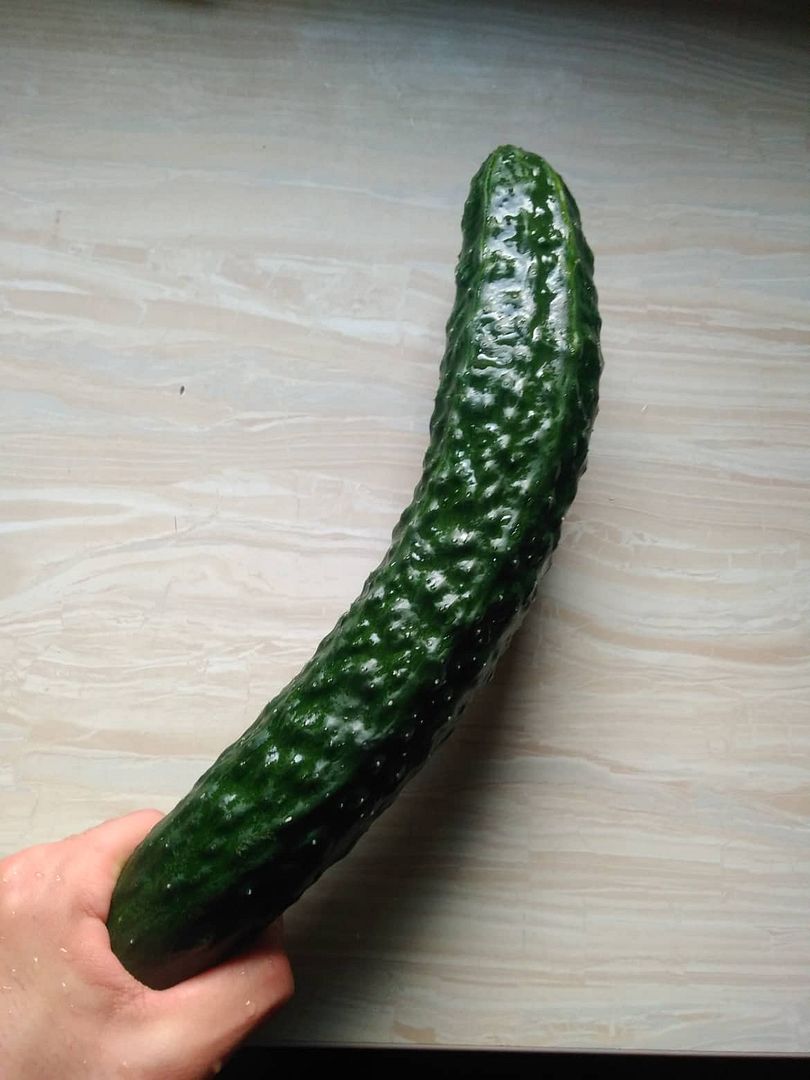 cucumber from my garden