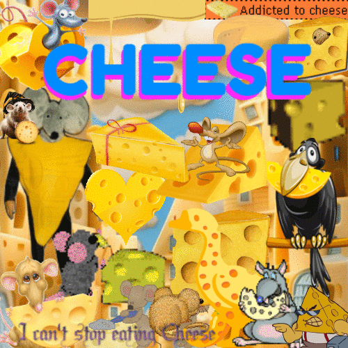 CHEESE