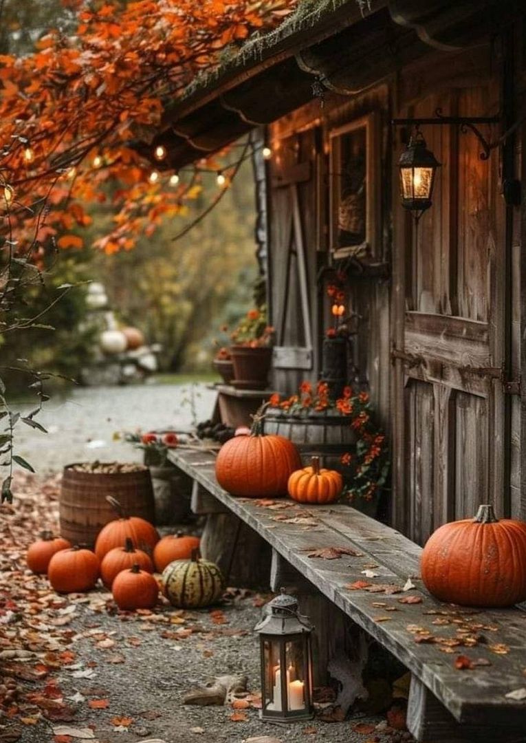 Cozy autumn place