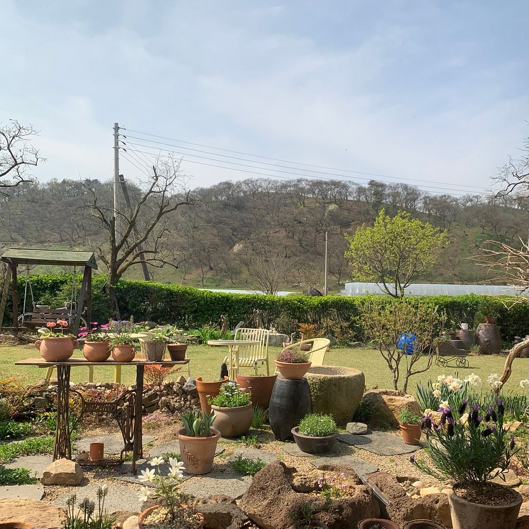 Small garden in Gongju-si