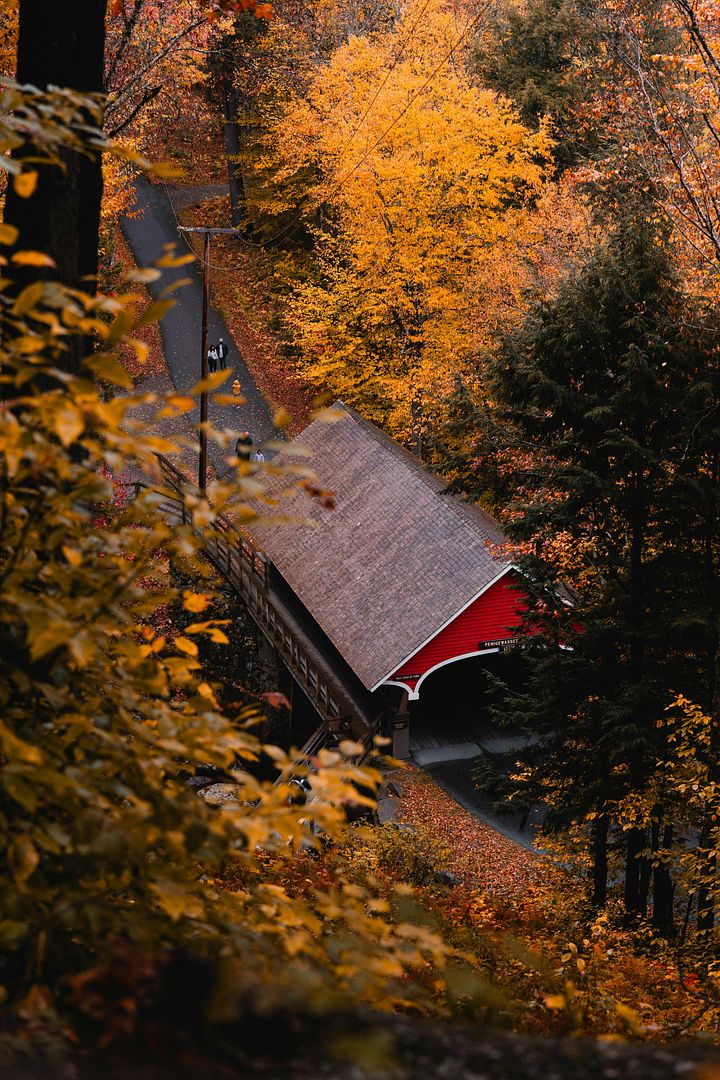 Autumn Beauty at the Lincoln, NH Corridor Bridge