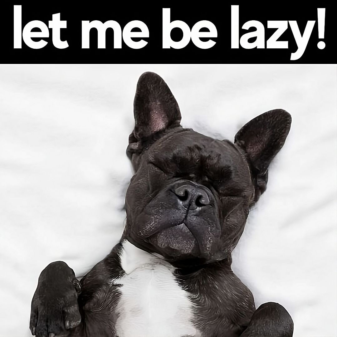 let me be lazy!