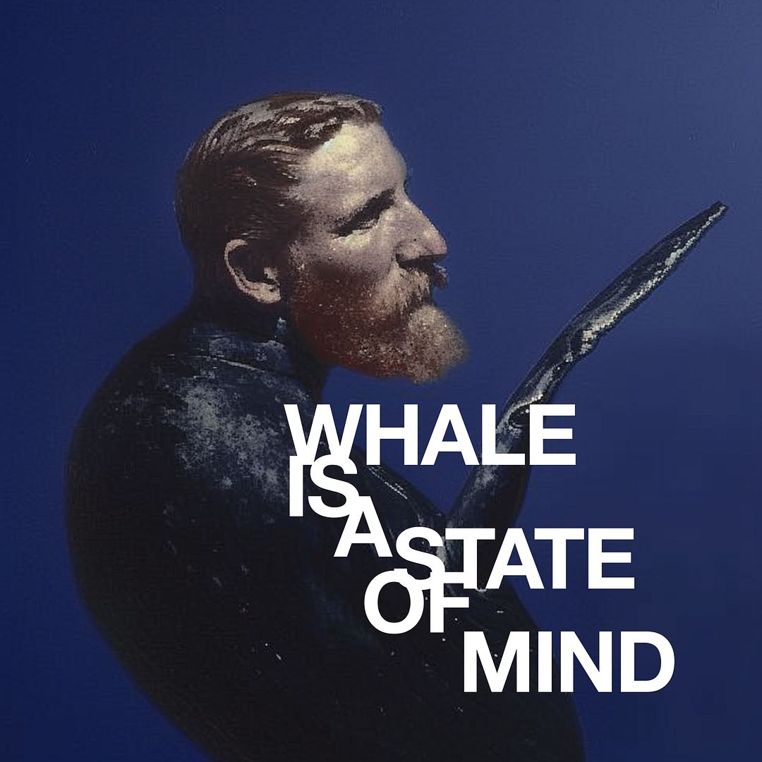 CRYPTO WHALE