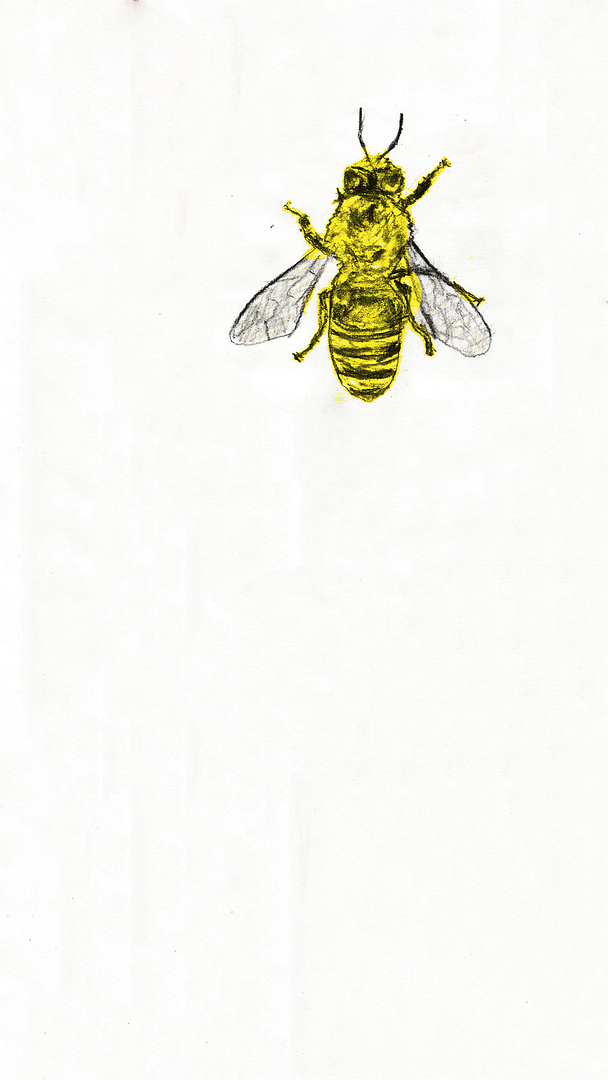 bee