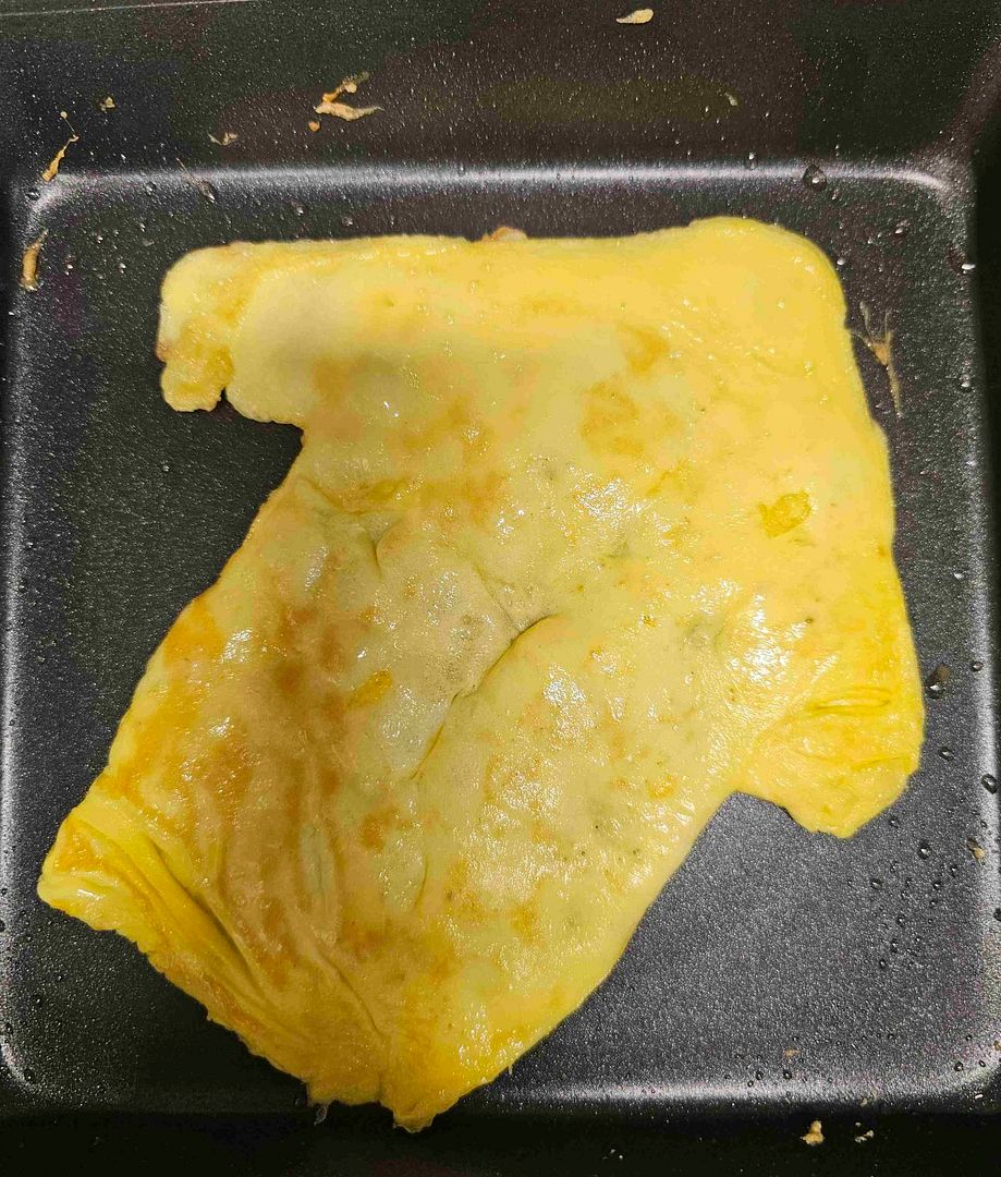 SENDIT FRIED EGG