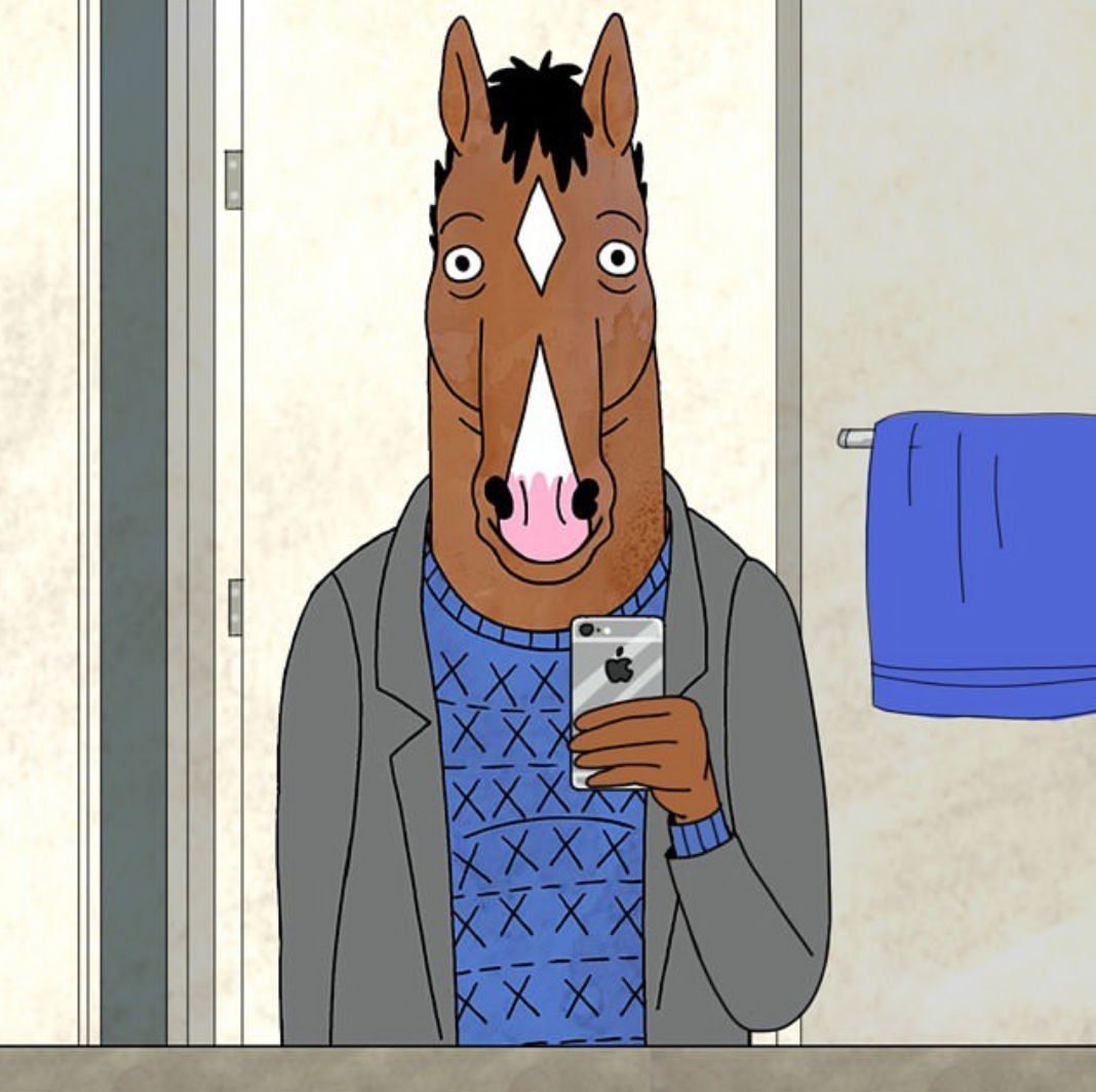 mr bojack