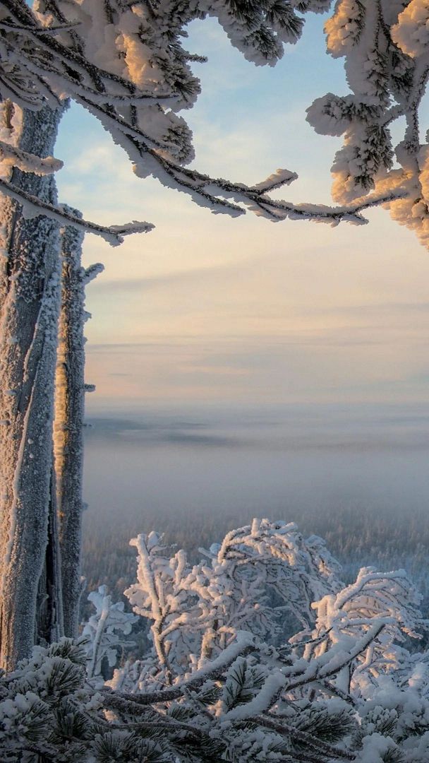 Snow in Finland 🇫🇮3