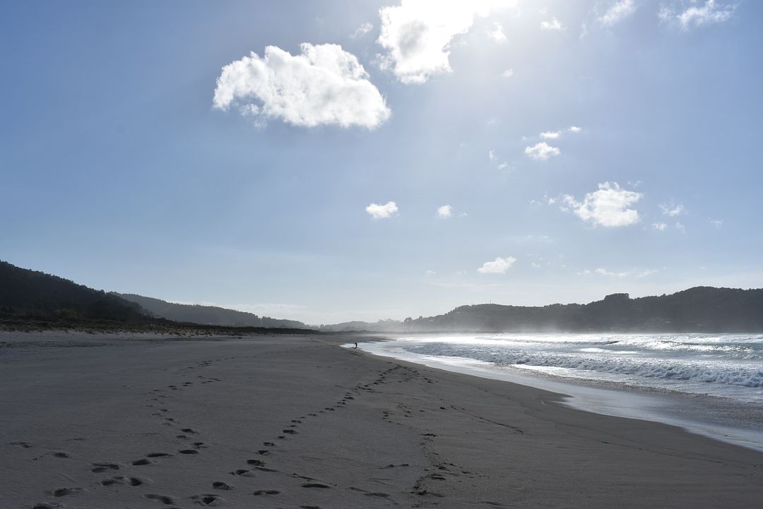 wind and beach