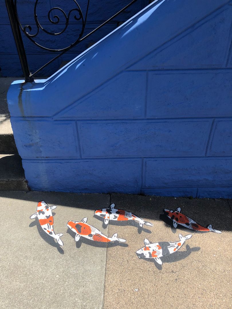 follow the fish