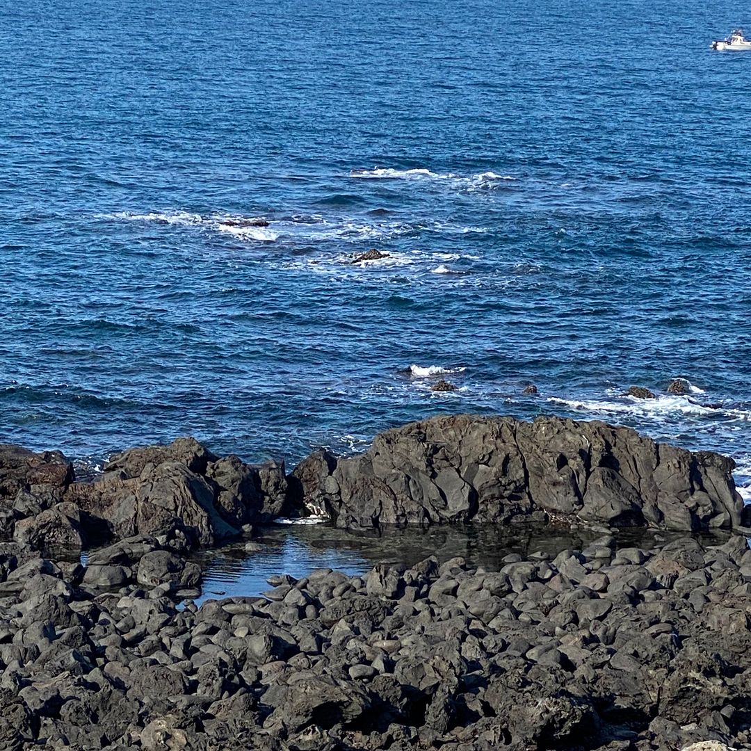 WINTER JEJU SEA