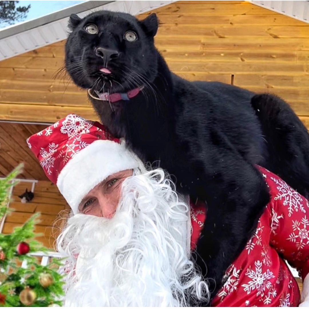 Luna and Santa Claus