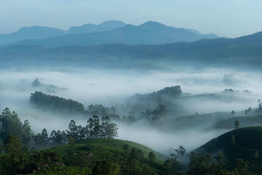 Magical Mystical Munnar