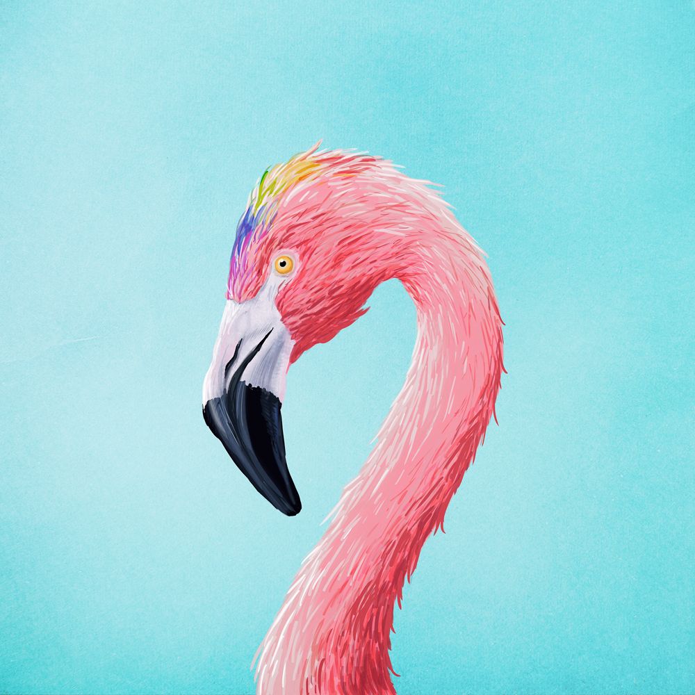 Pink flamingo