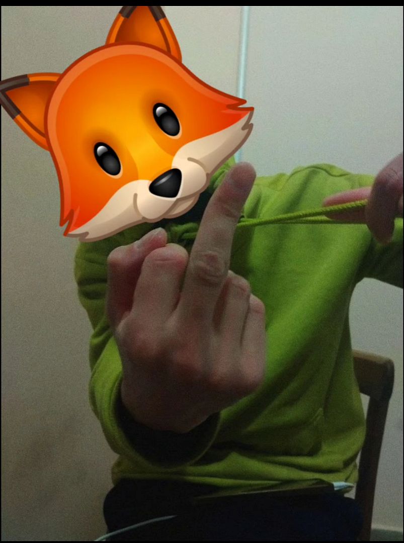 🦊