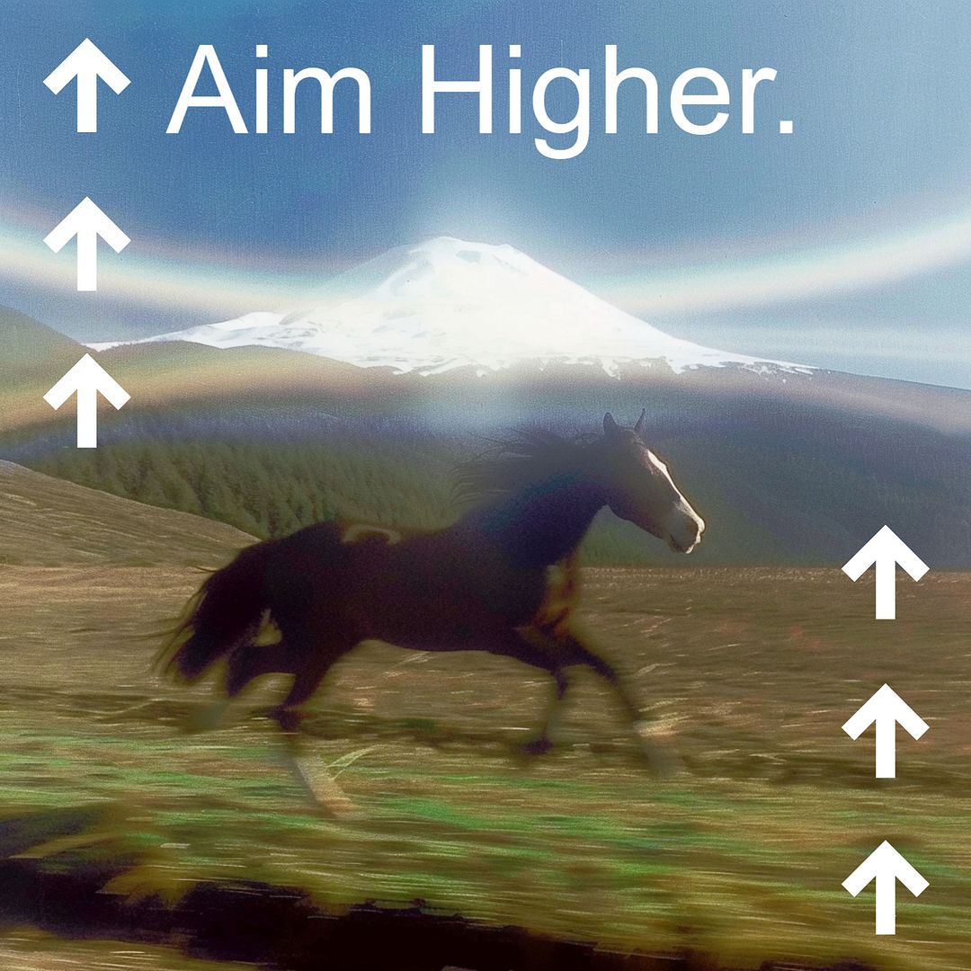 Aim Higher.