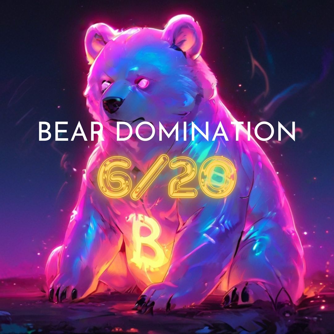 BEAR DOMINATION 6