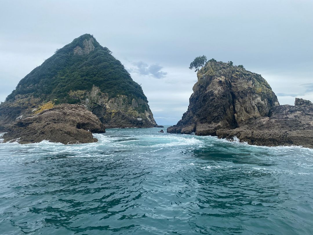 New Zealand Sea