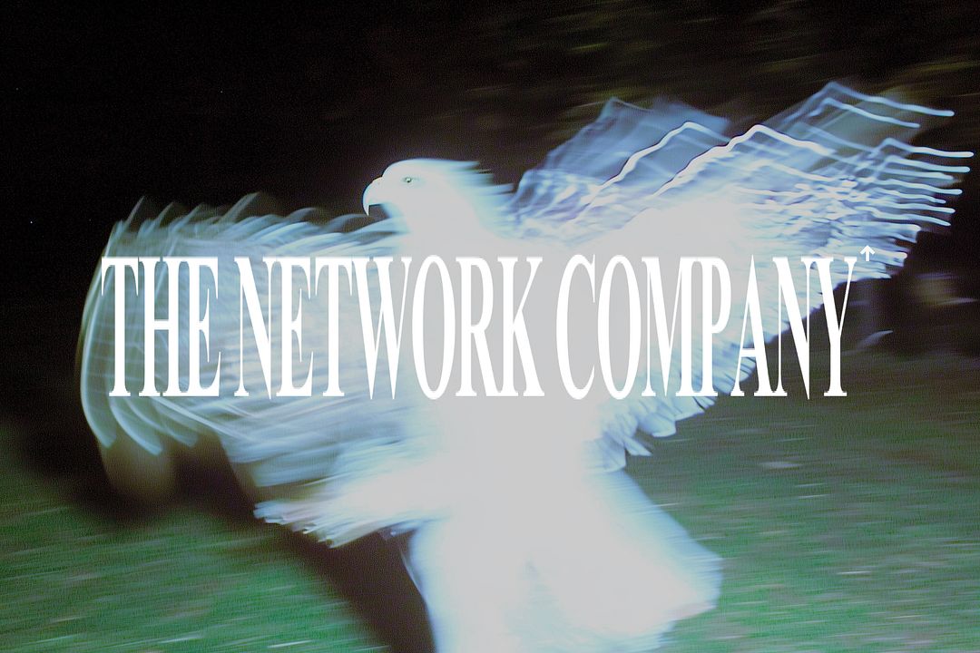 the network company ↑