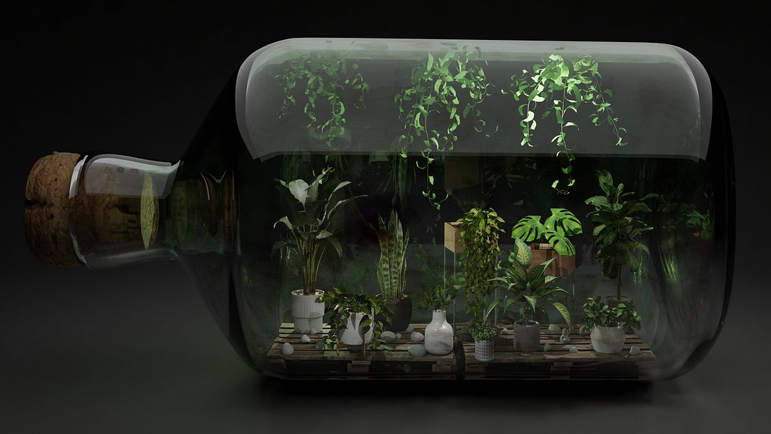 Terrarium Vitae