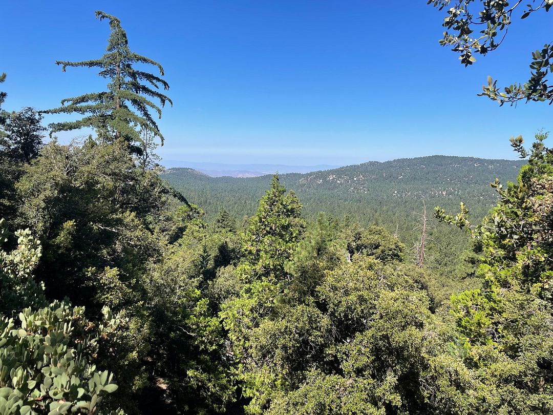 Ernie Maxwell scenic trail view