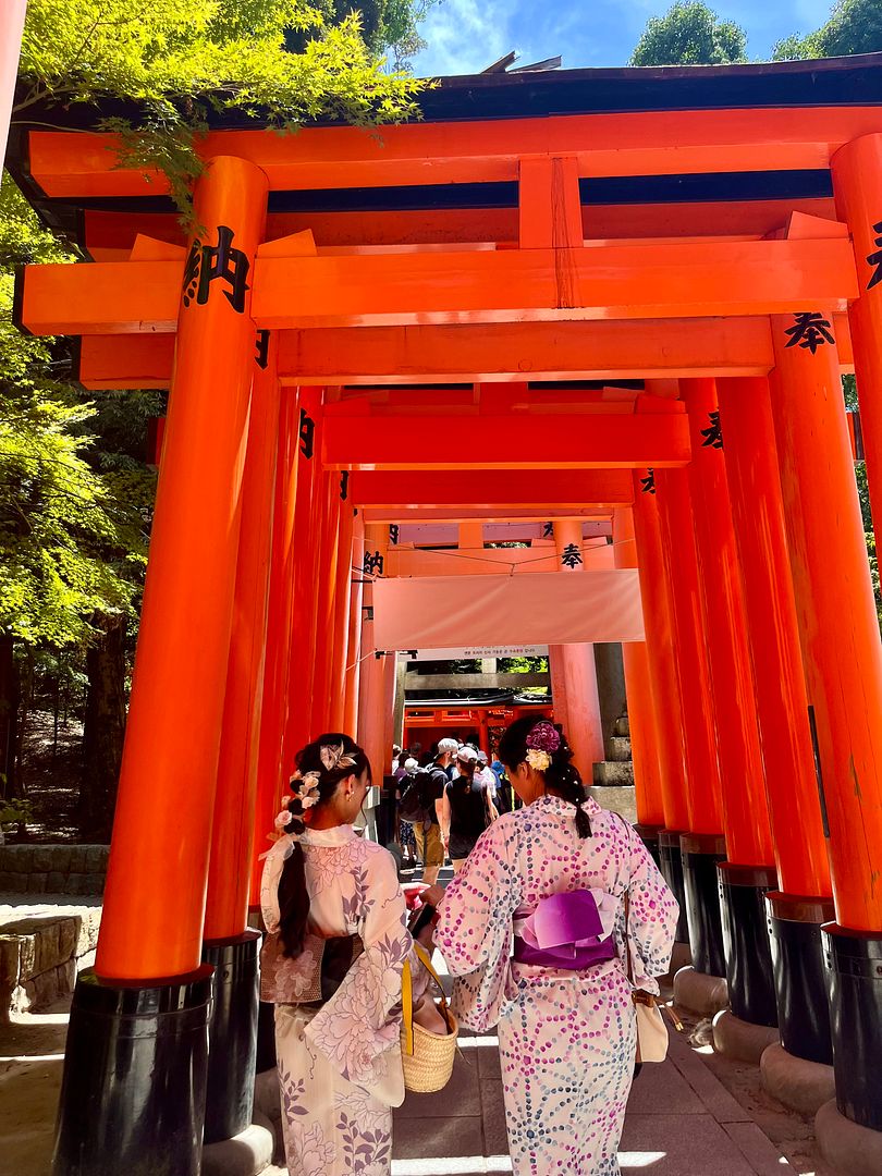 Summer in Fushimi inari