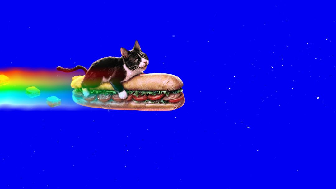 Sandwich Cat | Nyan inspired | blue screen