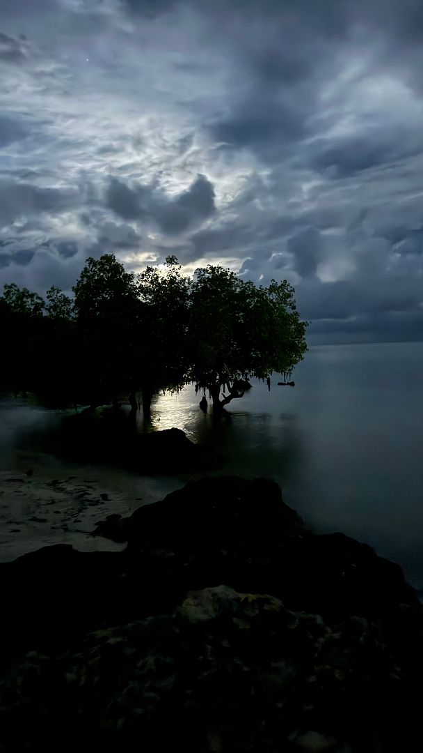 From the shore - Kilifi, Kenya 🇰🇪