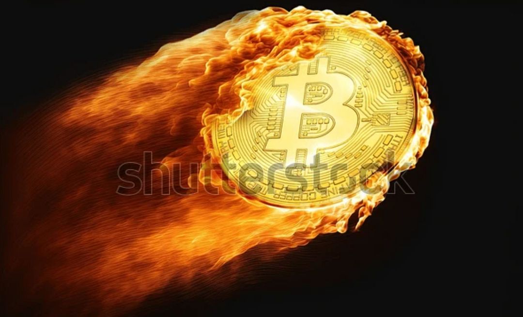 btc fired !!!