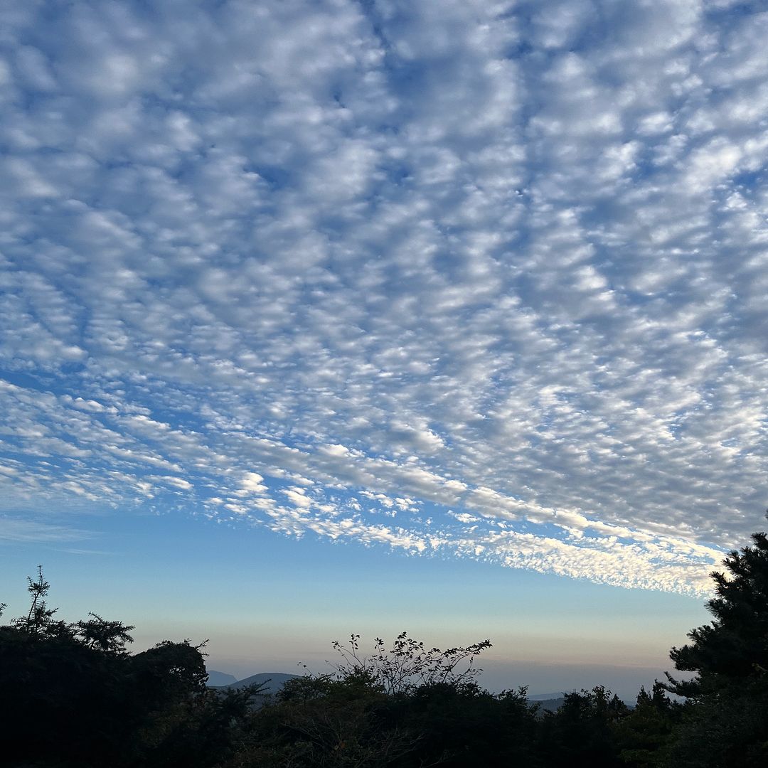 Patterned cloud in Jeju