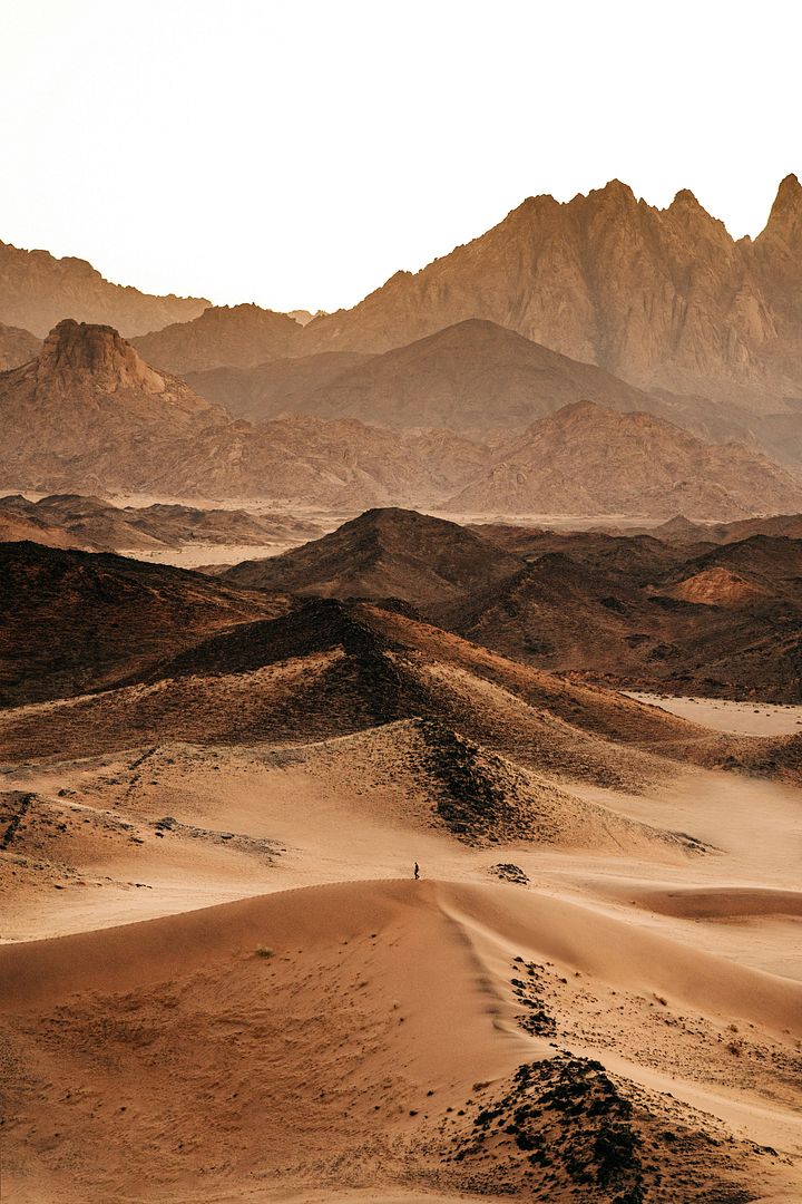 Amongst expansive red sands and spectacular sandstone rock formations |HismaDesert