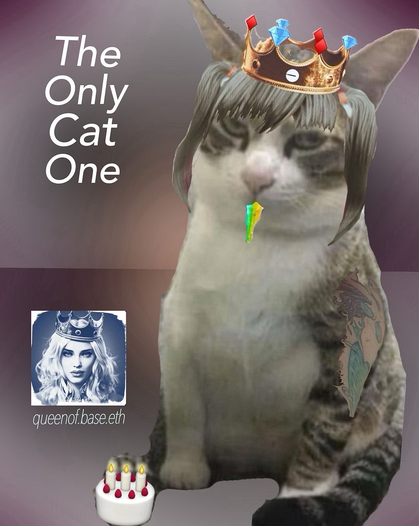 Cat One