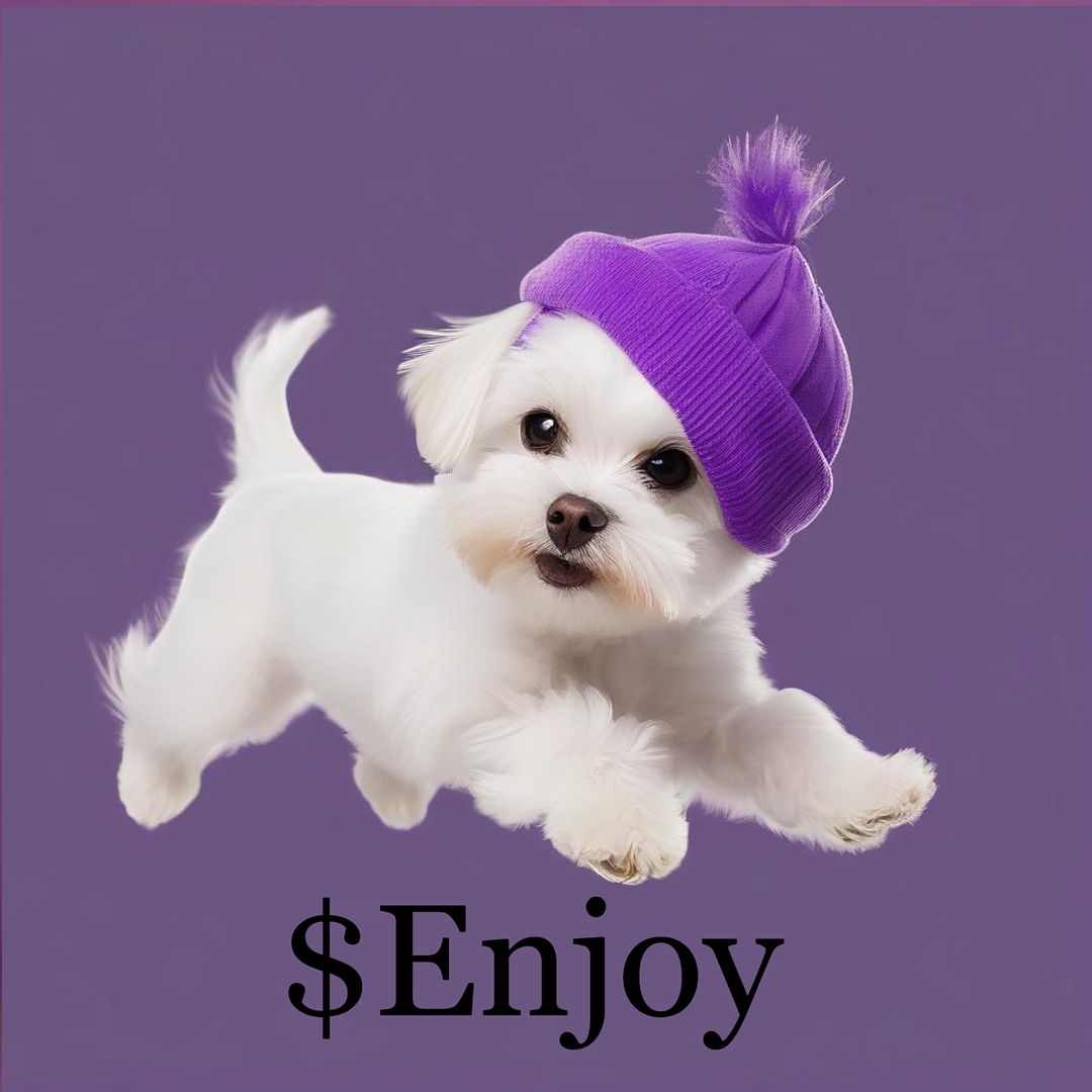 enjoy dog