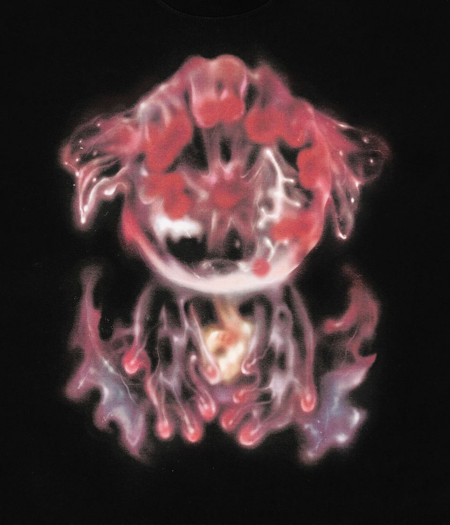 jellyfish spirit