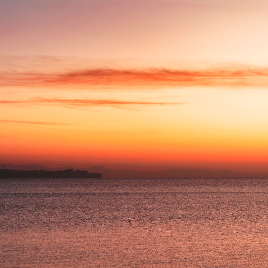 Morning Silhouettes