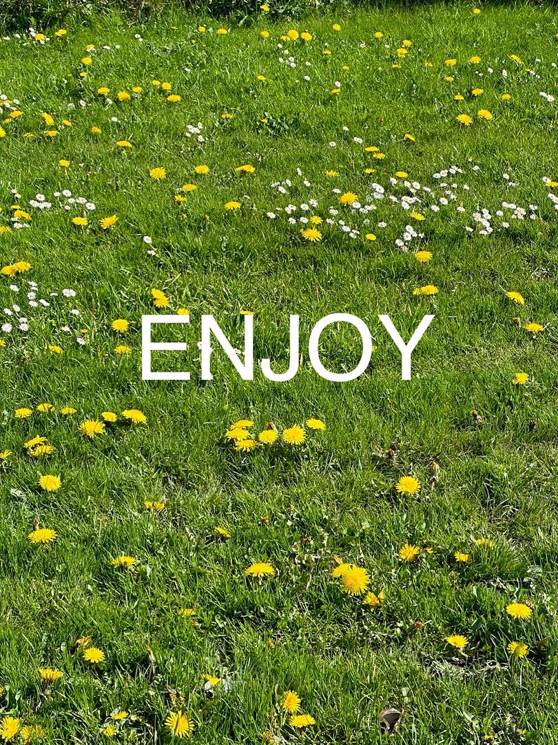 Enjoy Life #8